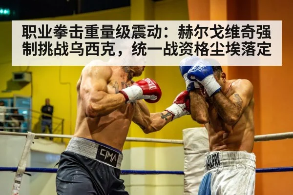 heavyweight boxing match